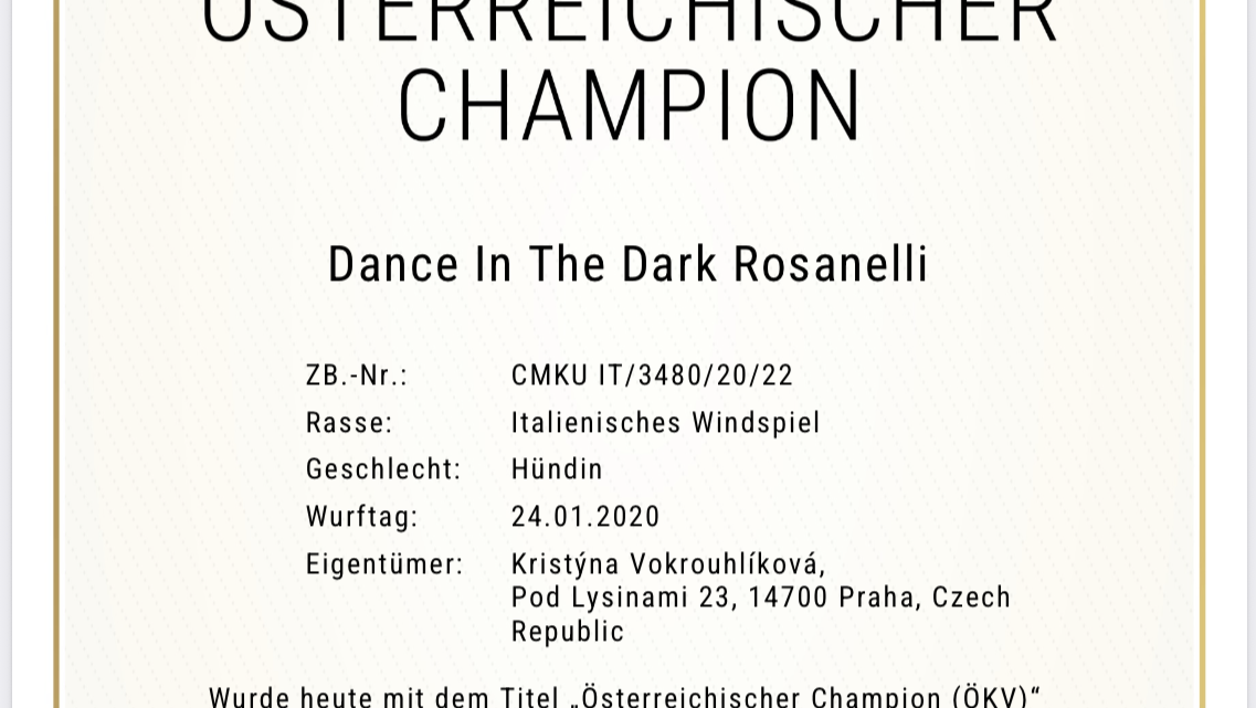 Rakouský šampion